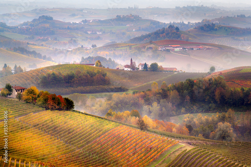 Sunrise on Barolo lands and fog in Langhe Region, Piemonte Piedmont. Unesco World Heritage site in Northern Italy. Agriculture Vineyards and Wine production. photo