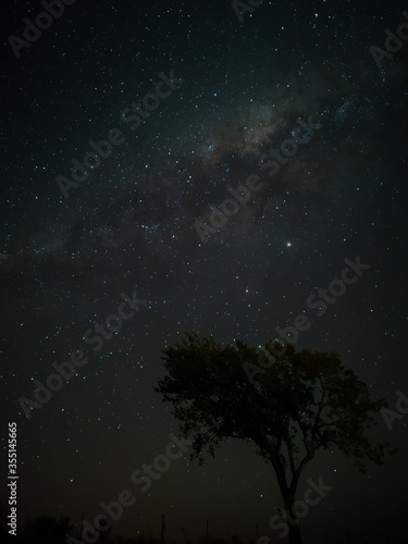 Milky Way in starry sky with tree and landscape below, timelapse sequence image 82-100 Night landscape in the mountains of Argentina - Córdoba - Condor Copina