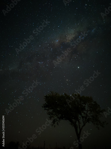 Milky Way in starry sky with tree and landscape below, timelapse sequence image 80-100 Night landscape in the mountains of Argentina - Córdoba - Condor Copina