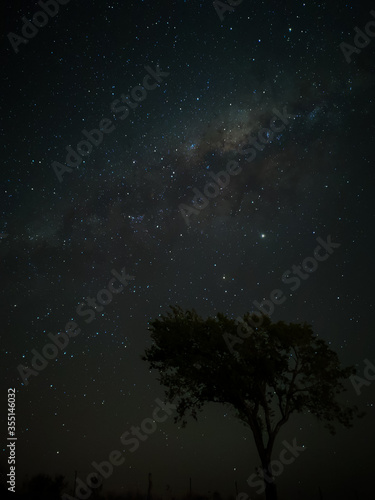 Milky Way in starry sky with tree and landscape below, timelapse sequence image 66-100 Night landscape in the mountains of Argentina - Córdoba - Condor Copina