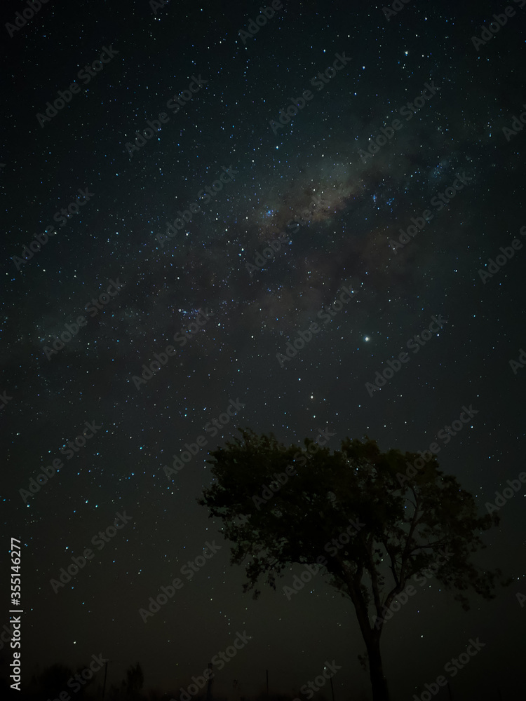 Milky Way in starry sky with tree and landscape below, timelapse sequence image 57-100
Night landscape in the mountains of Argentina - Córdoba - Condor Copina