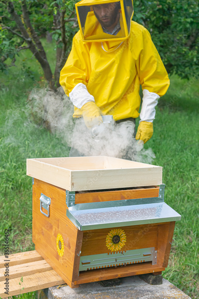 Young beekeeper in yellow protective work wear uses a smoker over the hive body to calm the carniolan honey bees in a small private apiary on a green meadow in Trentino, Italy on a warm sunny day. Young beekeeper in yellow protective work wear uses a smoker over the hive body to calm the carniolan honey bees in a small private apiary on a green meadow in Trentino, Italy on a warm sunny day.