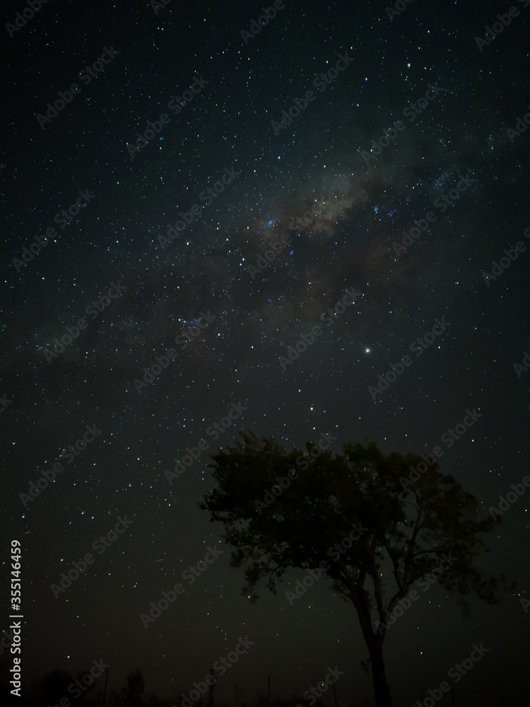 Milky Way in starry sky with tree and landscape below, timelapse sequence image 48-100
Night landscape in the mountains of Argentina - Córdoba - Condor Copina Milky Way in starry sky with tree and landscape below, timelapse sequence image 48-100
Night landscape in the mountains of Argentina - Córdoba - Condor Copina