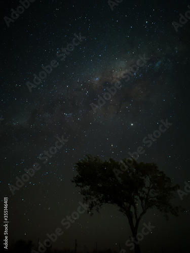 Milky Way in starry sky with tree and landscape below, timelapse sequence image 51-100 Night landscape in the mountains of Argentina - Córdoba - Condor Copina