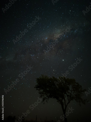 Milky Way in starry sky with tree and landscape below  timelapse sequence image 50-100 Night landscape in the mountains of Argentina - C  rdoba - Condor Copina