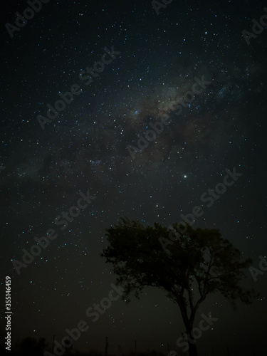 Milky Way in starry sky with tree and landscape below, timelapse sequence image 48-100 Night landscape in the mountains of Argentina - Córdoba - Condor Copina © Uriel