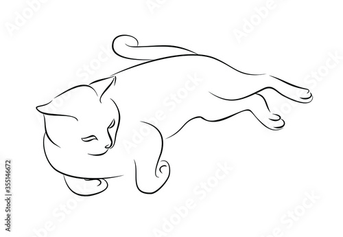 Sketch of a purebred cat