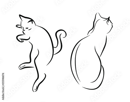 Sketch of a purebred cat