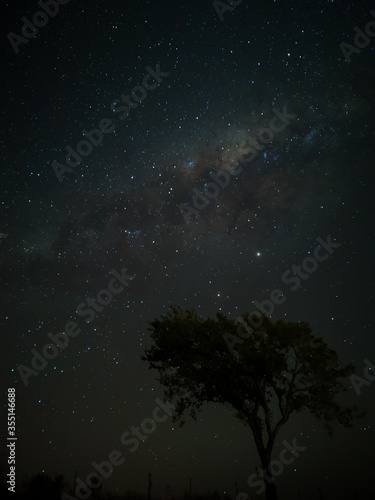 Milky Way in starry sky with tree and landscape below, timelapse sequence image 39-100
Night landscape in the mountains of Argentina - Córdoba - Condor Copina