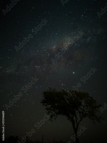 Milky Way in starry sky with tree and landscape below, timelapse sequence image 38-100 Night landscape in the mountains of Argentina - Córdoba - Condor Copina