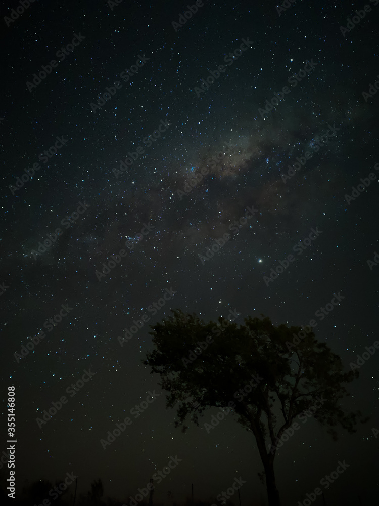 Milky Way in starry sky with tree and landscape below, timelapse sequence image 34-100
Night landscape in the mountains of Argentina - Córdoba - Condor Copina