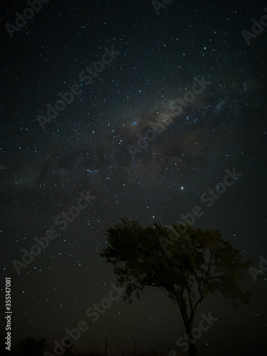 Milky Way in starry sky with tree and landscape below, timelapse sequence image 24-100 Night landscape in the mountains of Argentina - Córdoba - Condor Copina © Uriel