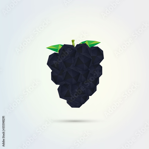 3D low polygon blackberry fruit design 
Eps 10 stock vector illustration 