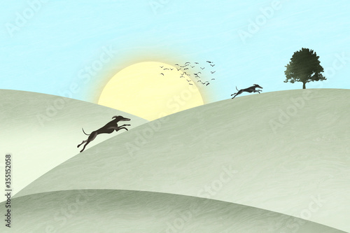Greyhounds running up hill at suset photo