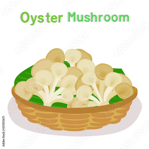 Oyster Mushroom 