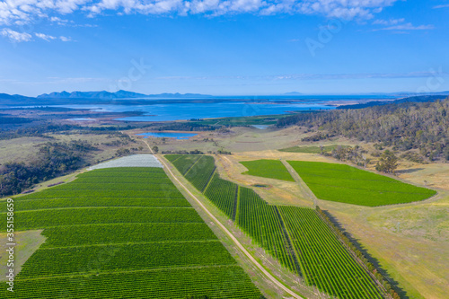 Aerial view of vineyards at Devil's Corner in Tasmania, Australia photo