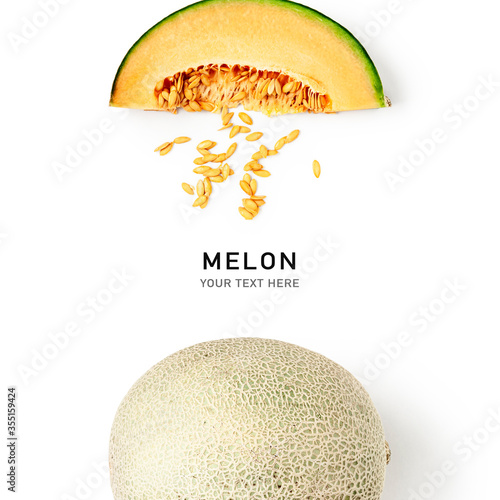 Melon cantaloupe fruits creative layout