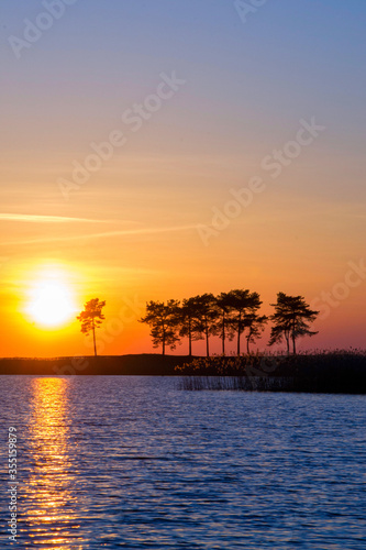 Vivid sunset on a lake, blue and orange skyscape with a pines silhouettes