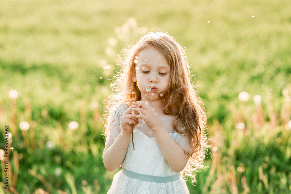 Portrait of cute curly little girl in white dress, staying in sunset meadow, blowing dandelion. Healthy, enjoy countryside summer and happy childhood concept Portrait of cute curly little girl in white dress, staying in sunset meadow, blowing dandelion. Healthy, enjoy countryside summer and happy childhood concept