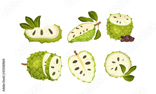 Soursop Fruit or Guanabana with Dark Green Rind Covered with Thick Thorns Vector Set