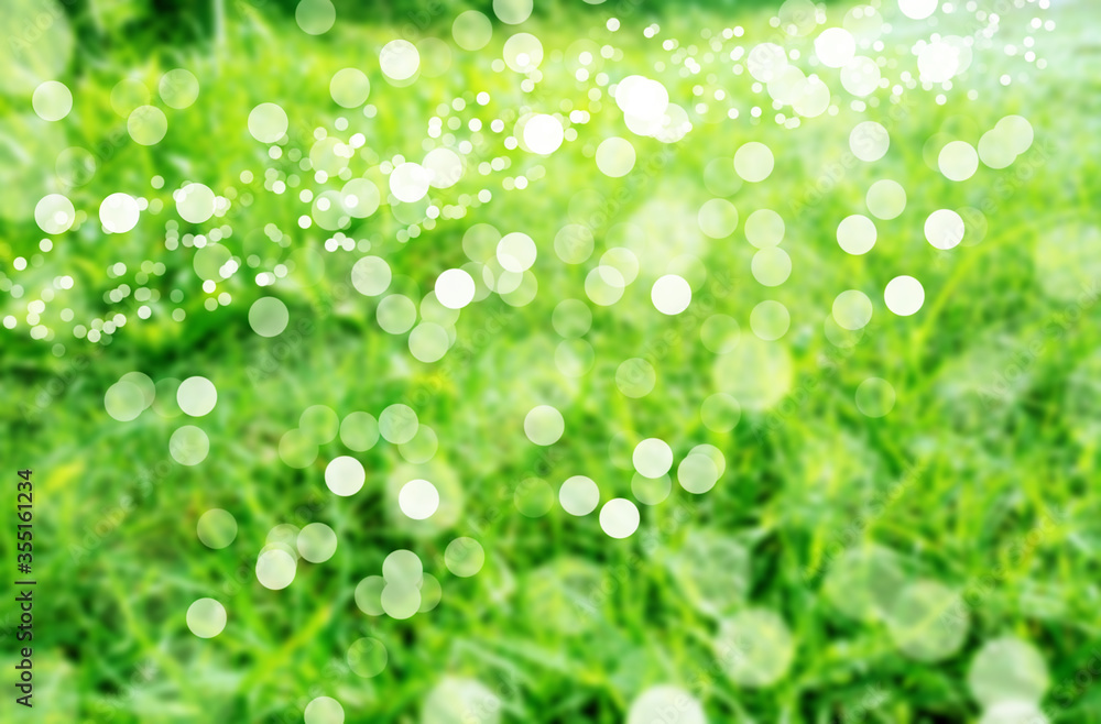 Green grass blurred images Decorate as background Green grass blurred images Decorate as background