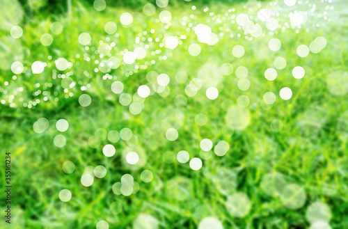 Green grass blurred images Decorate as background