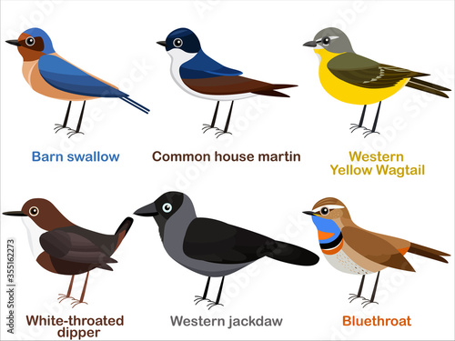 Vector illustration set of cute European bird cartoons - Barn swallow, House martin, Yellow Wagtail, White throated dipper, Western Jackdaw, Bluethroat