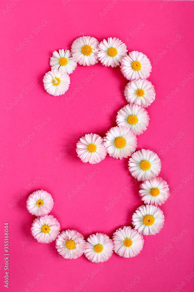 The number 3 is written in white pink flowers on a bright pink background. The number three is written in fresh flowers highlighted on a pink background. Arabic numerals inlaid with daisies.