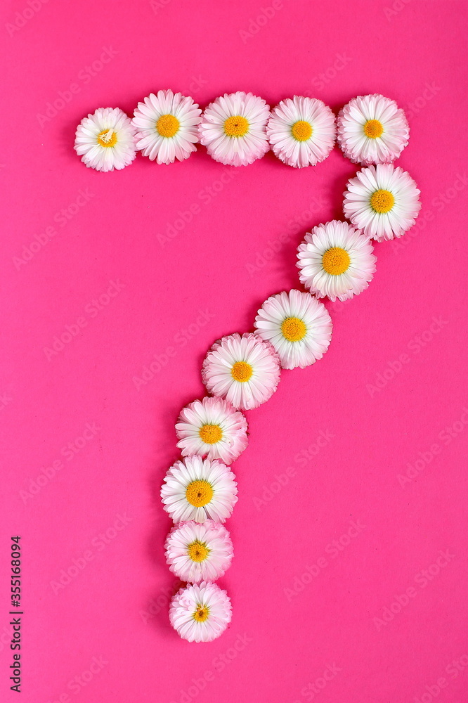 The number 7 is written in white pink flowers on a bright pink background. The number seven is written in fresh flowers highlighted on a pink background. Arabic numerals inlaid with daisies.
