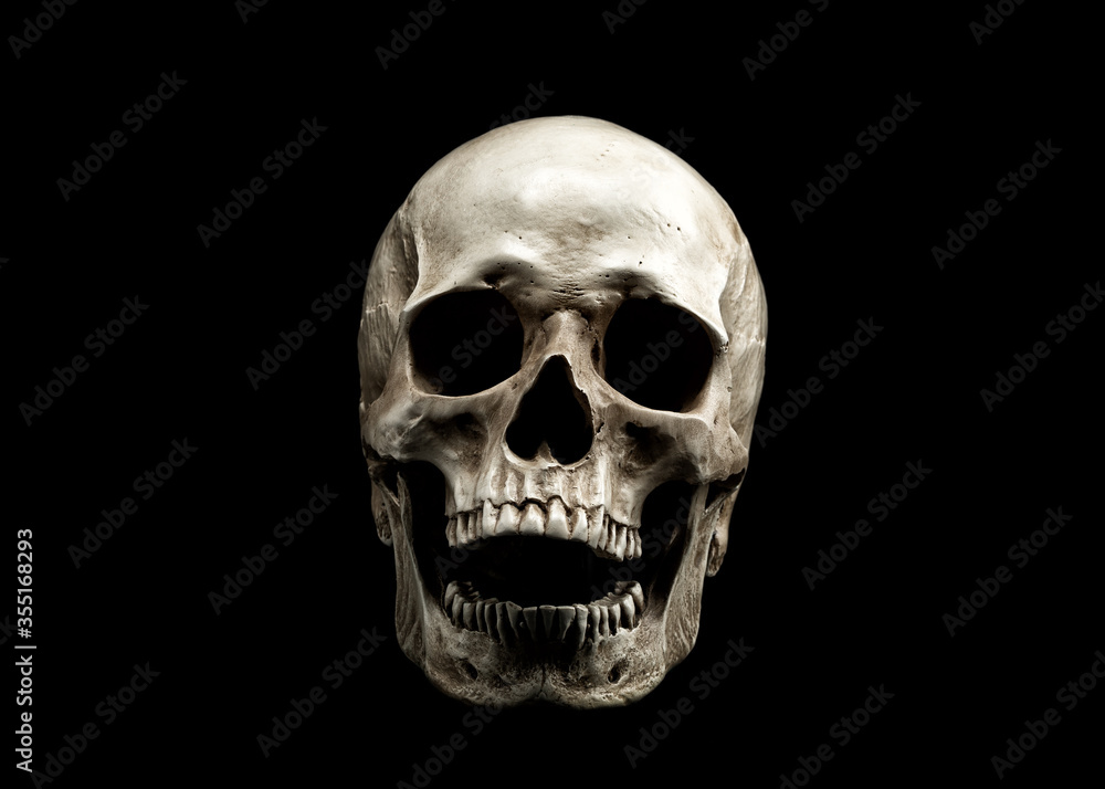 Laughing Human Skull. Evil Skeleton. Skull with open mouth isolated on black background. Laughing Human Skull. Evil Skeleton. Skull with open mouth isolated on black background.
