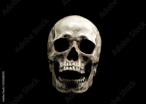 Laughing Human Skull.  Evil Skeleton. Skull with open mouth isolated on black background.