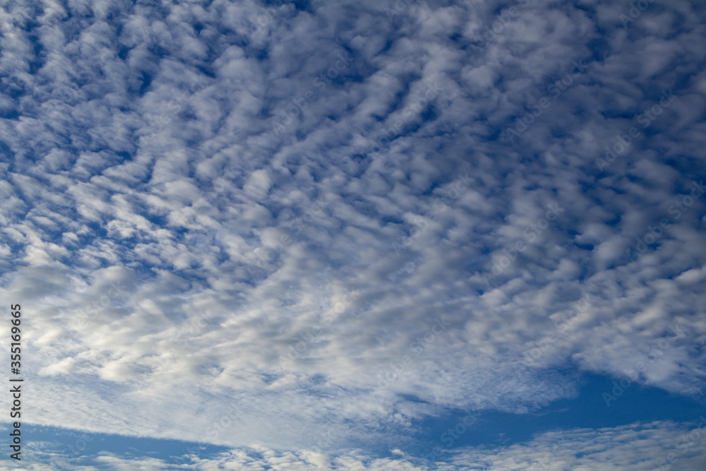 Deep blue sky and white cloud background.Altocumulus soft white clouds against blue sky. Deep blue sky and white cloud background.Altocumulus soft white clouds against blue sky.