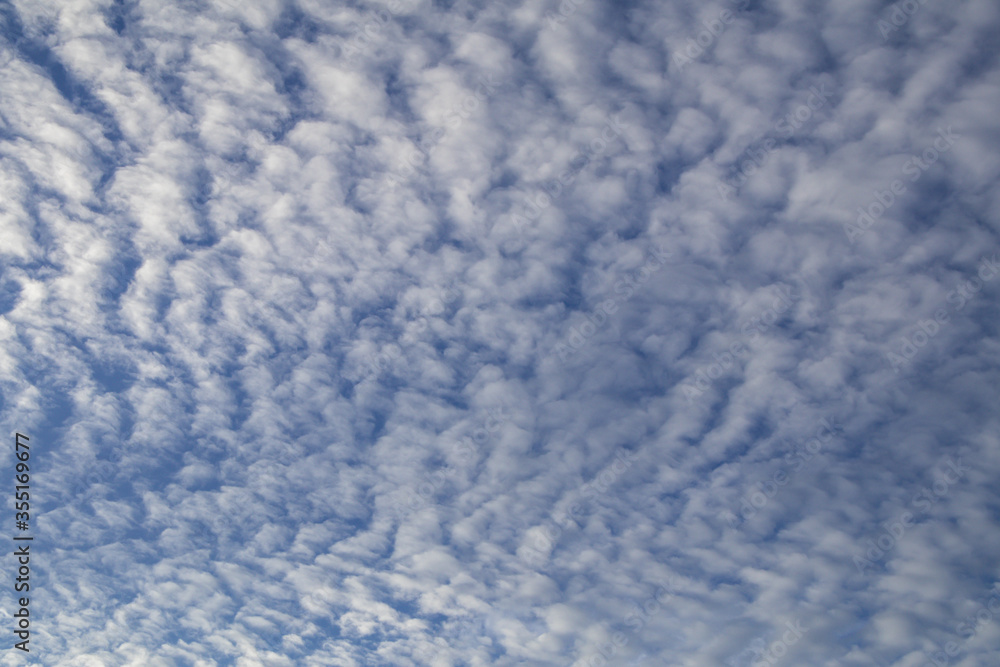 Deep blue sky and white cloud background.Altocumulus soft white clouds against blue sky.