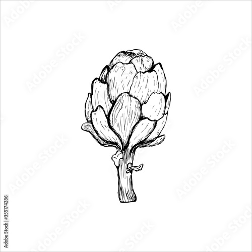 vector set of engraving illustration green vegetables artichoke on white background