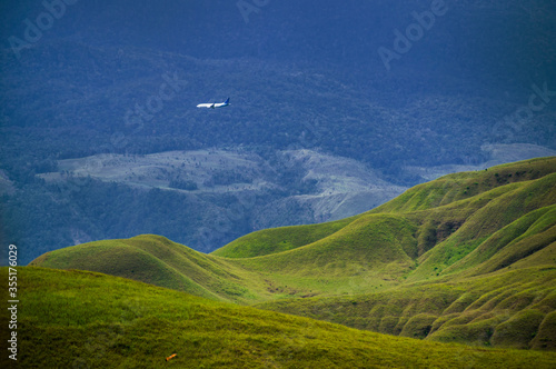 the green meadow 