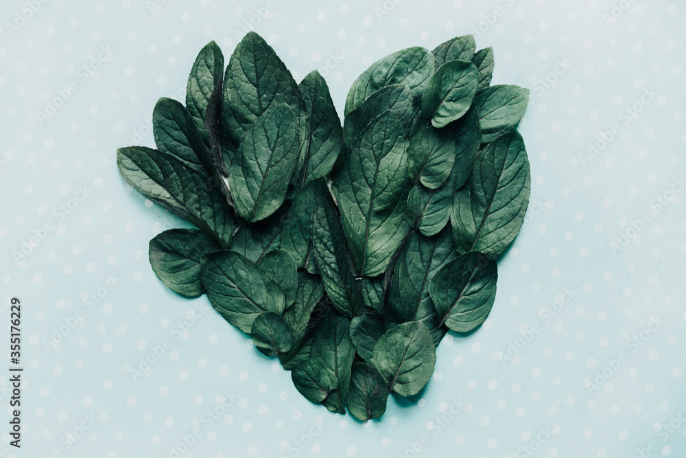 Obraz premium green heart on a light background top view