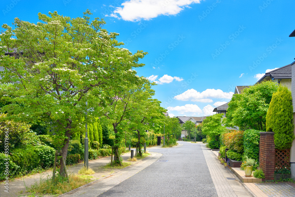 Japan's residential area, suburbs of Tokyo 　日本の住宅地