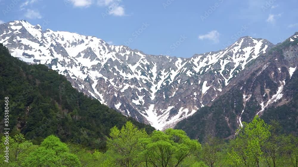新緑の上高地と北アルプス 新緑の上高地と北アルプス