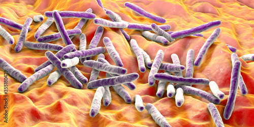 Bacteria Mycobacterium tuberculosis photo