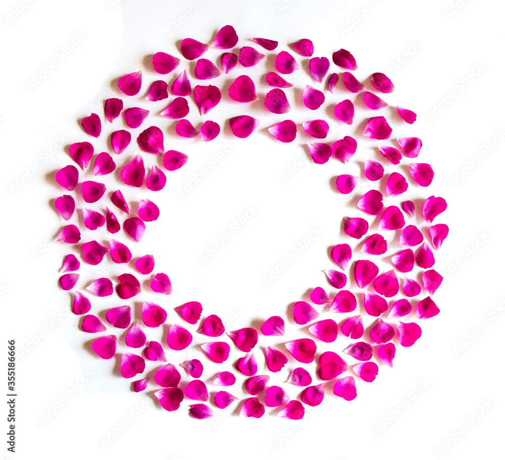 Flowers composition. Pattern made of rose petal on white background. Valentines day, mothers day, womens day concept. Flat lay