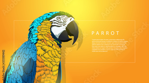 parrot bird web banner template with orange background