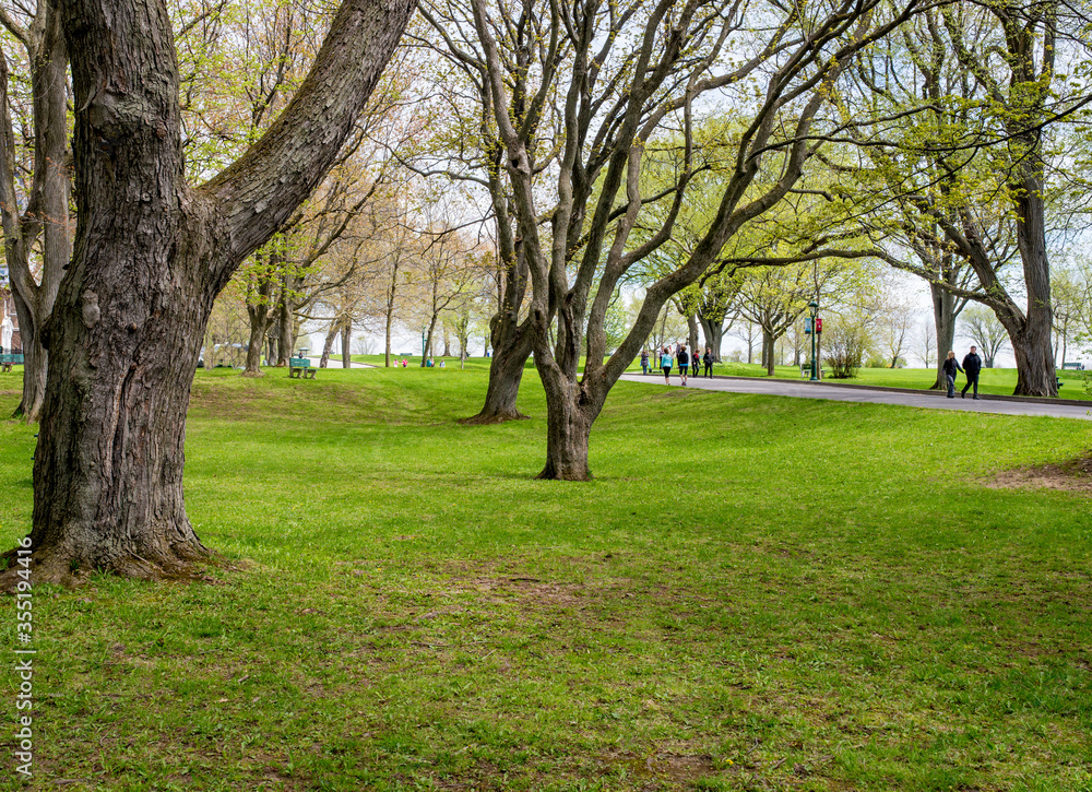 Rolling grassy hill and trees in Battlefields Park with a view overlooking Quebec, Canada. Rolling grassy hill and trees in Battlefields Park with a view overlooking Quebec, Canada.