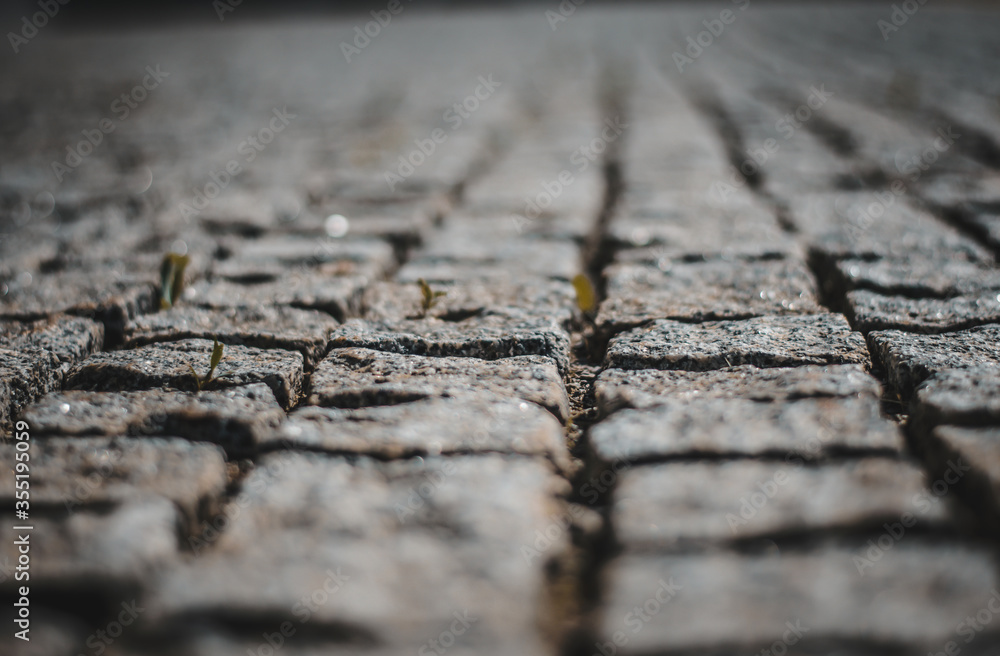 Obraz premium tire on asphalt