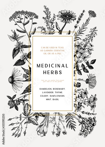 Vintage medicinal herbs card or invitation design. Hand-drawn flowers, weeds, and meadows illustrations. Summer plants template with golden foil borders. Herbs outlines
