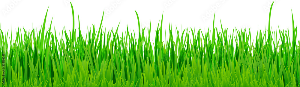 seamless floral grass panorama background seamless floral grass panorama background