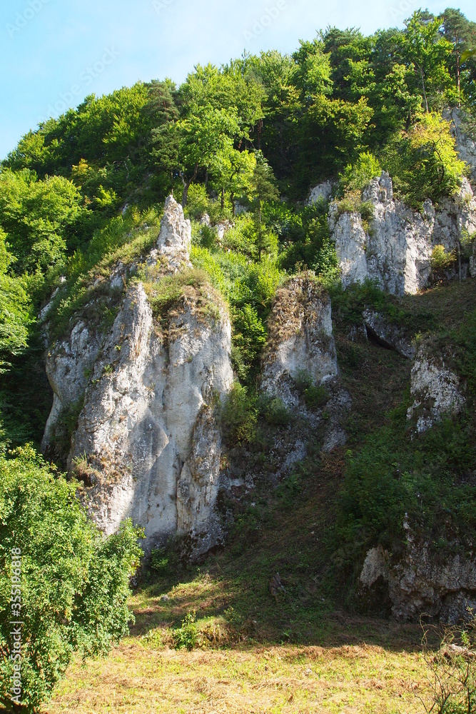 Limestone Formations, Ojcow Park, Poland, Europe