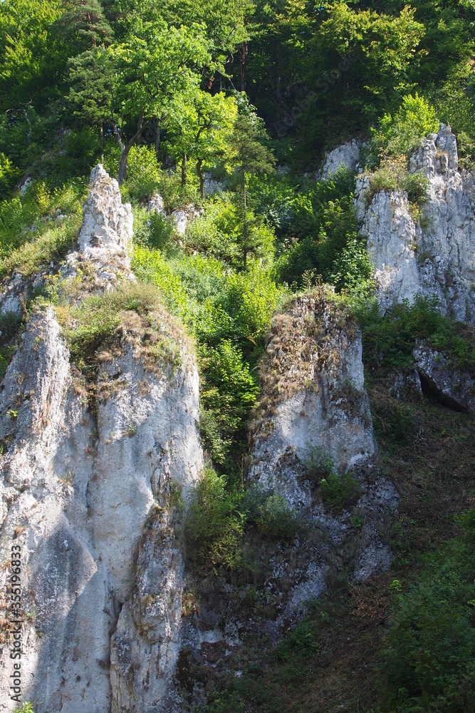 Limestone Formations, Ojcow Park, Poland, Europe