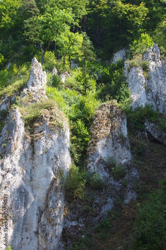 Limestone Formations  Ojcow Park  Poland  Europe