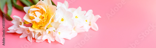 a bouquet of flowers narcisses white and yellow color in full bloom on a pink background with space for text. banner