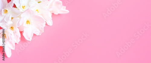 a bouquet of flowers narcisses white color in full bloom on a pink background with space for text. banner